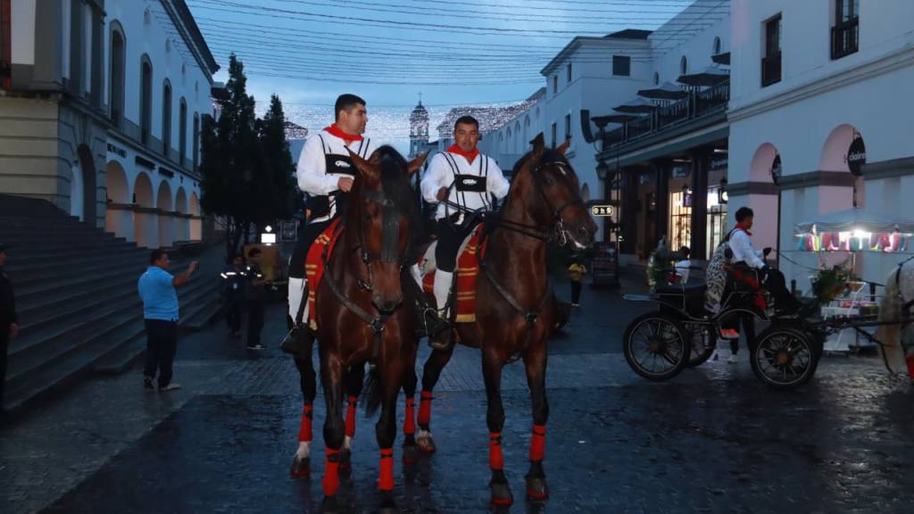 Oktober Fest 2025 | Foto Alex Meoño