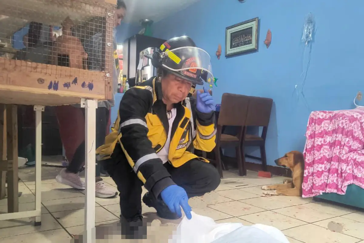 ., Bomberos Voluntarios