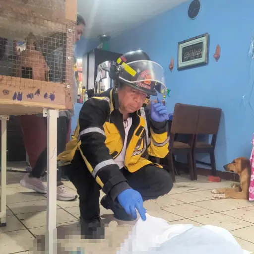 . ,Bomberos Voluntarios