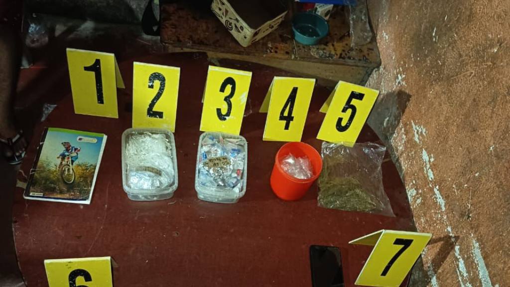 Erradican plantas de marihuana valoradas en Q8.6 millones | PNC de Guatemala