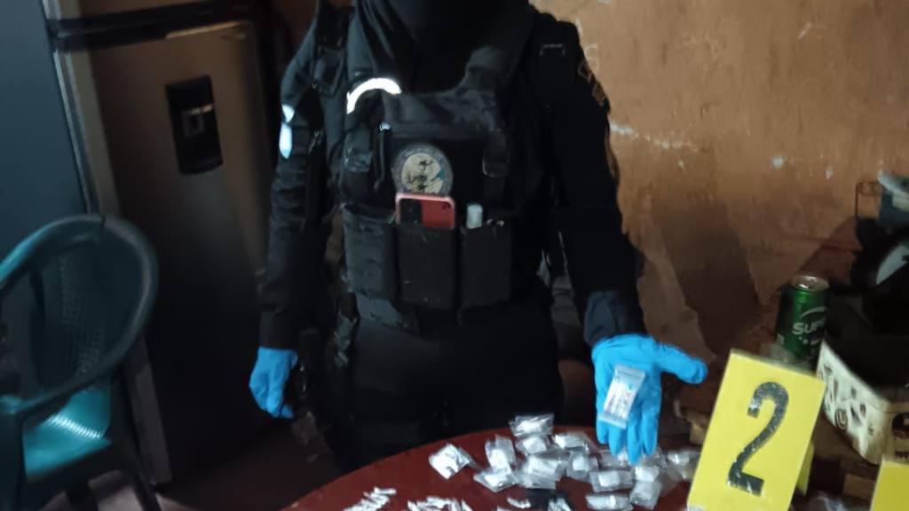 Erradican plantas de marihuana valoradas en Q8.6 millones | PNC de Guatemala