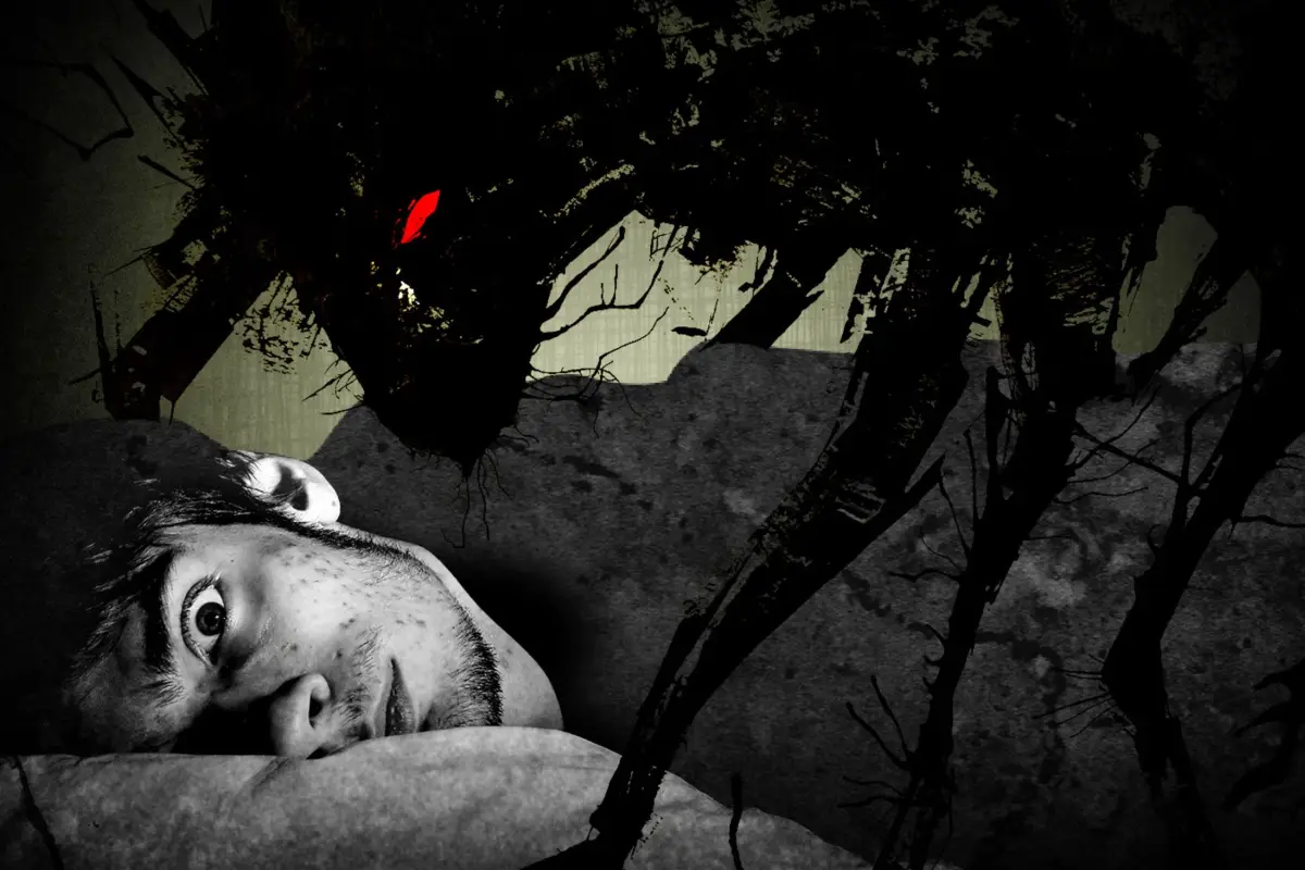 Parálisis del sueño, Parálisis del sueño