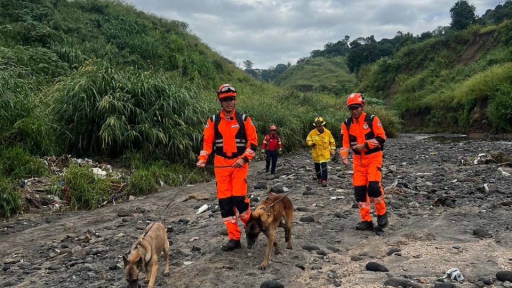 Tareas de búsqueda y rescate en La Cartonera | Bomberos Voluntarios