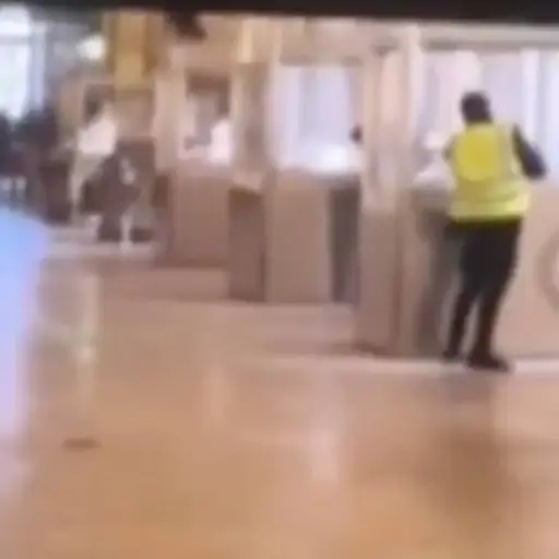 Robo de joyas en museo de Francia.  ,Captura de pantalla video X.