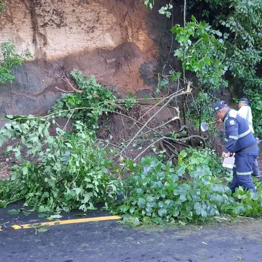 Personal de la PMT evaluó los daños y definió la forma de retirar el derrumbe, para evitar riesgos. ,PMT de Villa Canales