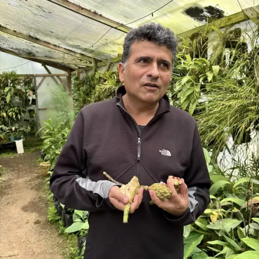 Fredy Archila ,Facebook Fredy Archila