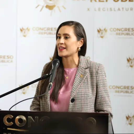 La diputada Karina Paz brindó una conferencia para anunciar las acciones que interpondrá contra el Decreto 9-2025. ,Congreso
