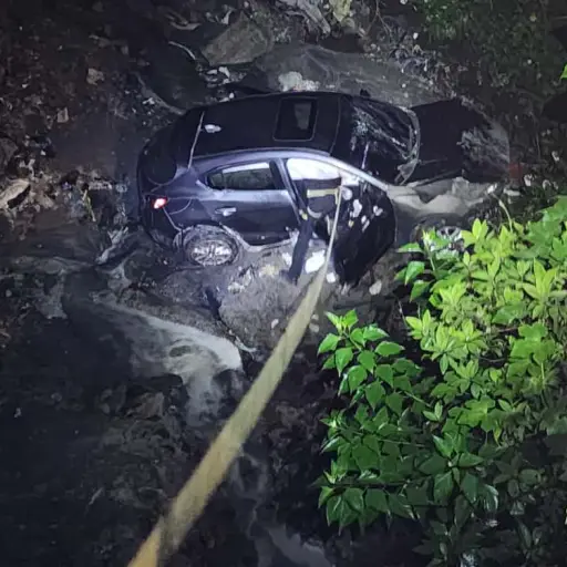 . ,Bomberos Voluntarios