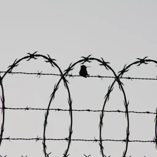 Alambre de púas en una cárcel ,Imagen con fines ilustrativos | pixabay