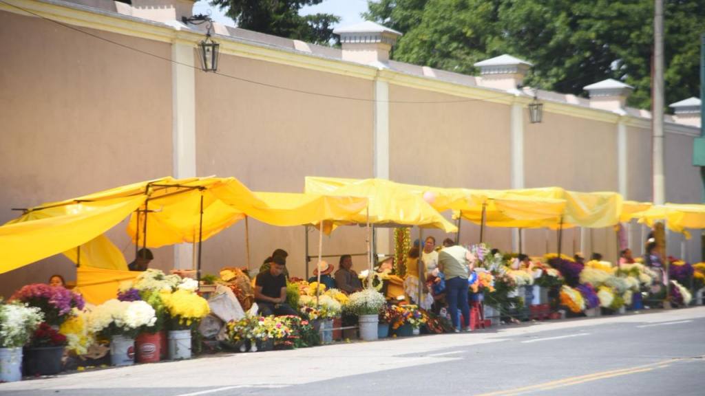 Así se encuentran los alrededores del Cementerio.  | Foto Omar Solís