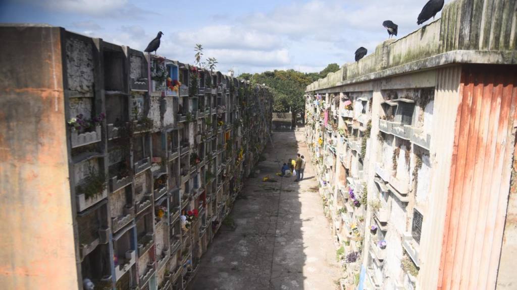 Miles de personas acudirán al Cementerio este 1 de noviembre. | Foto Omar Solís