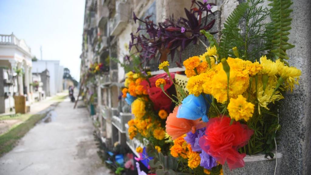 Cementerio General | Foto Omar Solís