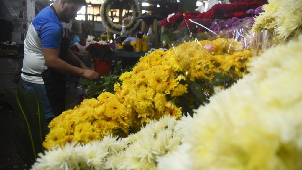 Las flores oscilan entre Q15 y Q40. | Foto Omar Solís