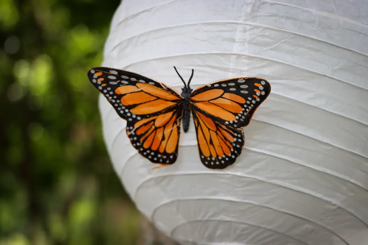 El proyecto "Muévete Verde" incluye el remozamiento de las pierdas del Parque Ecológico La Asunción. , Parque Ecológico La Asunción.