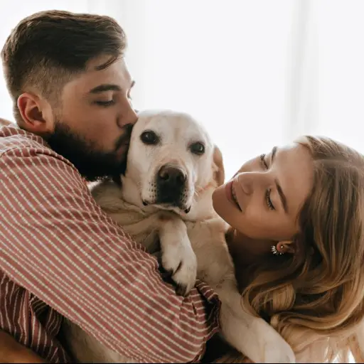 ¿Qué tan seguido desparasitas a tu mascota?  ,Cortesía