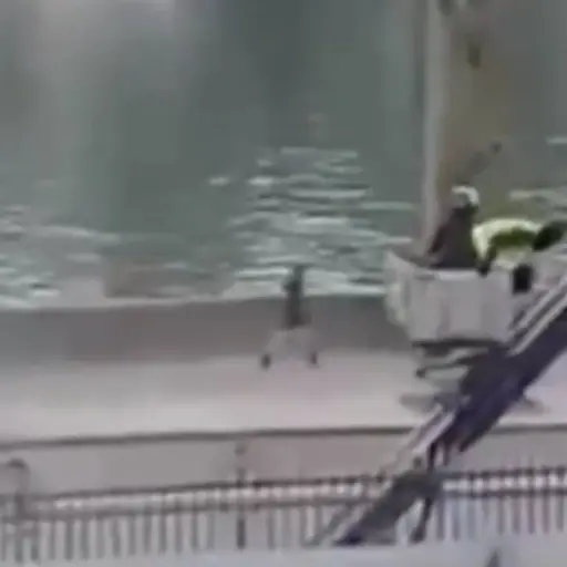 Ladrones burlan seguridad del Louvre y se llevan joyas de la corona francesa. ,Captura de pantalla video X.