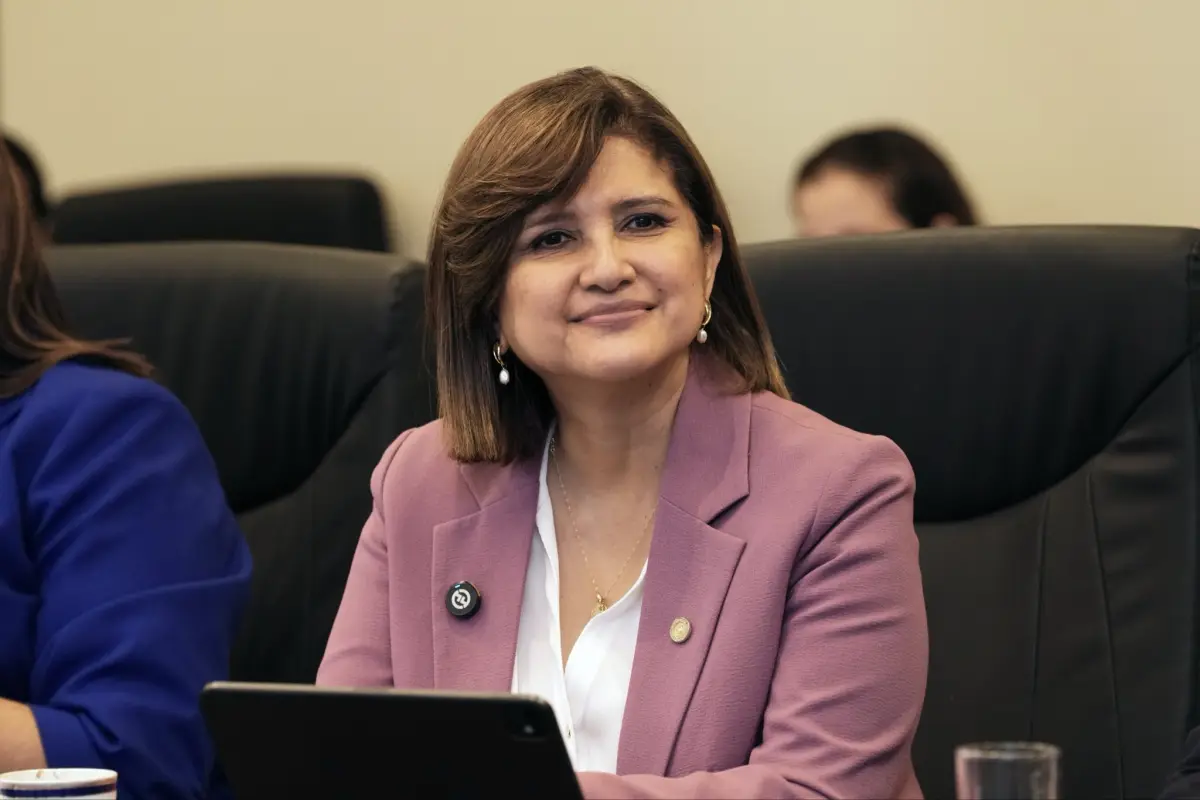 La vicepresidenta Karin Herrera durante una reunión con delegados de encuentro con Copernicus LAC., Gobierno de Guatemala