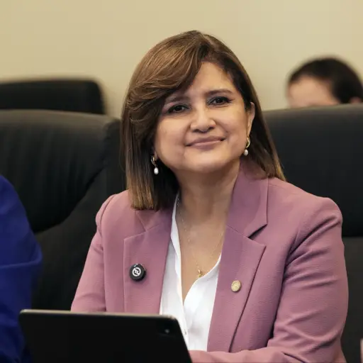 La vicepresidenta Karin Herrera durante una reunión con delegados de encuentro con Copernicus LAC. ,Gobierno de Guatemala