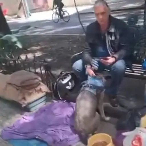 Alejandro Landero ,Captura de video