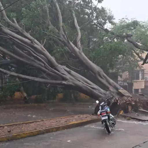Alerta por lluvias ,Foto Gobierno Honduras