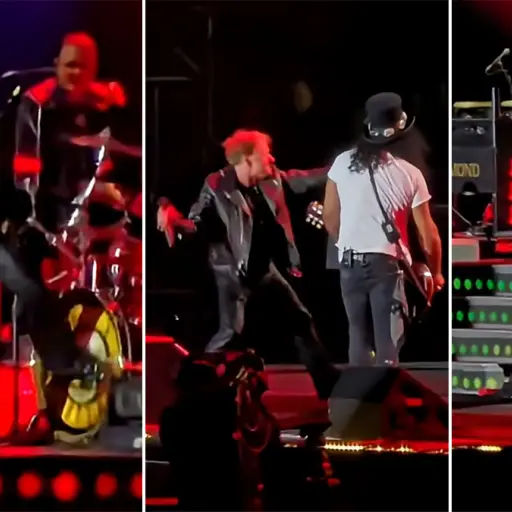 Axl Rose de Guns N'Roses ,Redes sociales