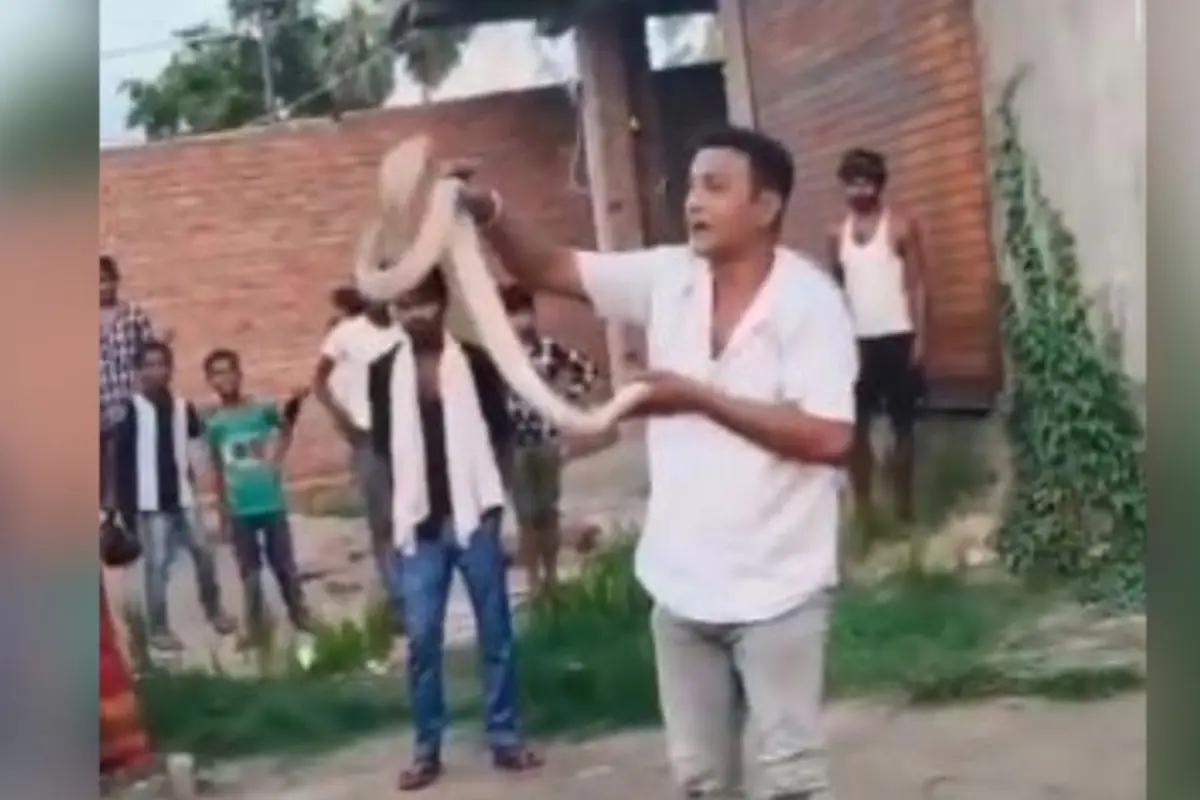 Domador de cobras. , Redes sociales.