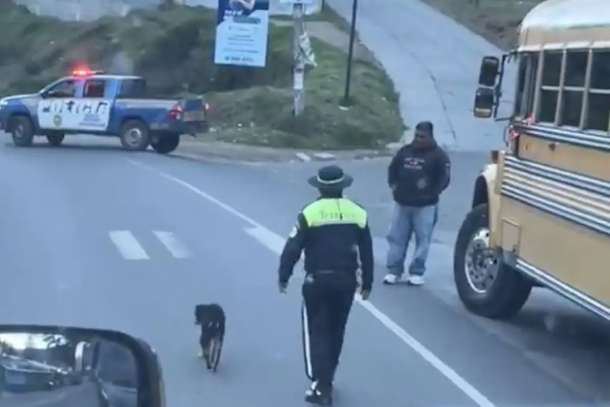 Indignación por video que muestra a agente de tránsito pateando a un perro., Captura de pantalla video X.