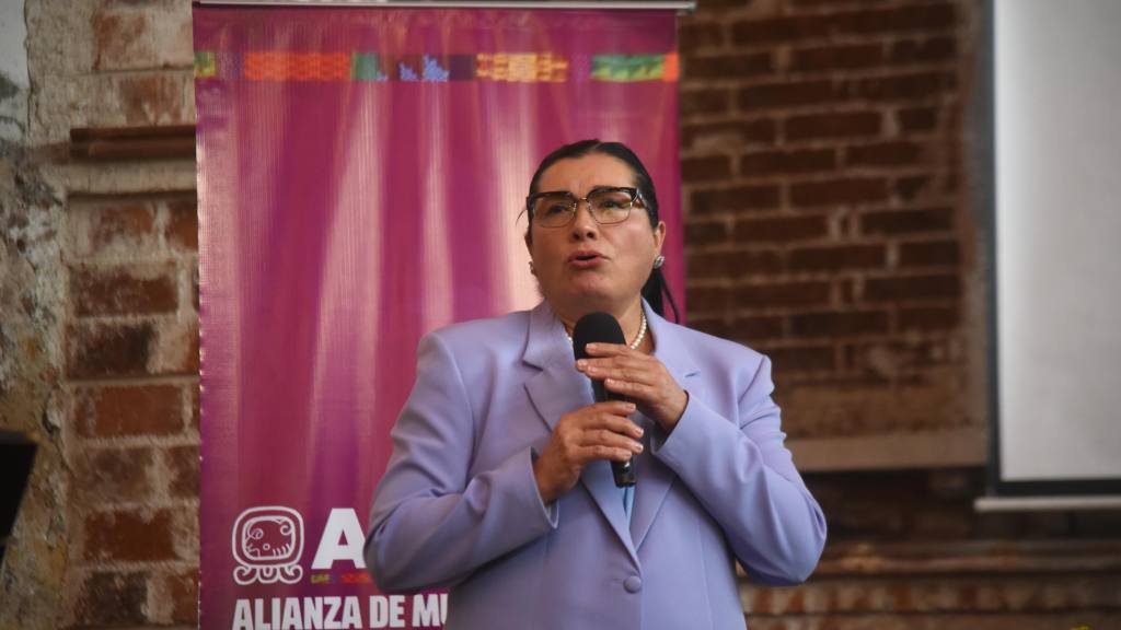 Blanca Alfaro pide observar la elección de magistrados del TSE | Omar Solís