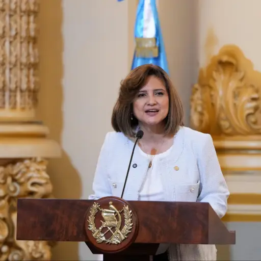 La vicemandataria aseguró que la petición de antejuicio es política, entre otros calificativos. ,Redes sociales.