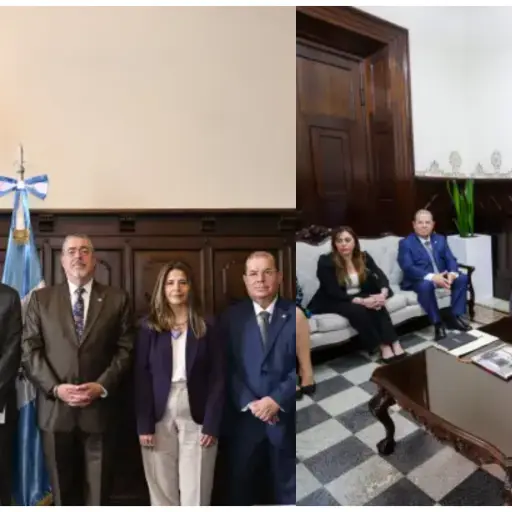 Presidentes del Ejecutivo y Legislativo se reúnen con Misión de la OEA. ,