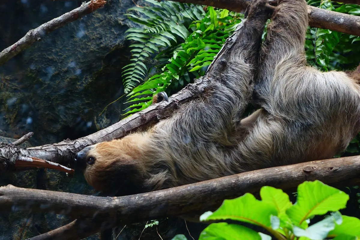 Imagen con fines ilustrativos., Pixabay