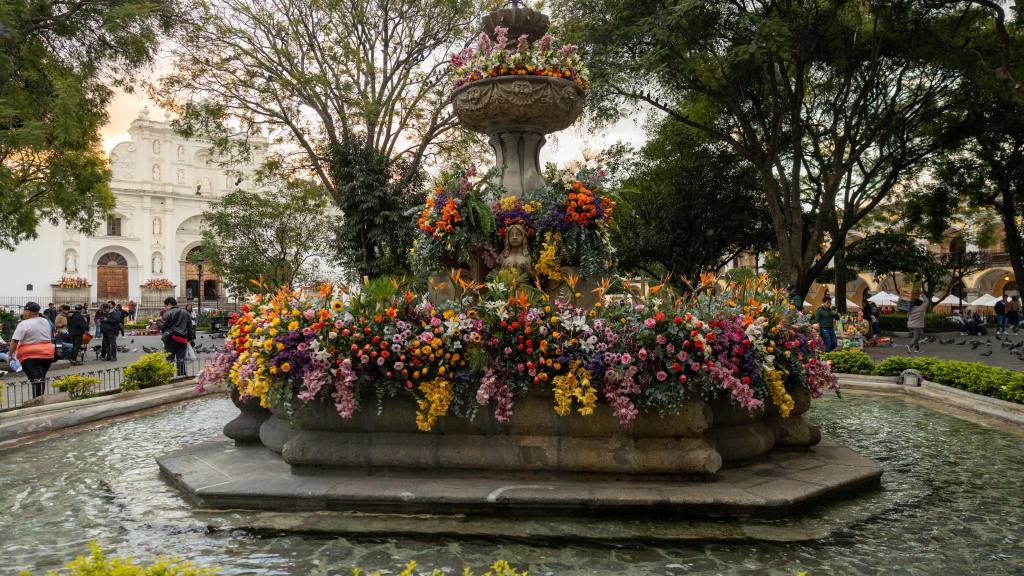 Festival de las Flores recibió a más de 300 mil visitantes | Municipalidad de Antigua Guatemala