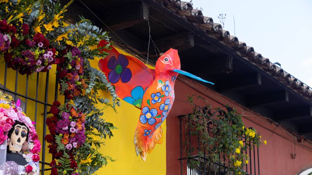 Festival de las Flores recibió a más de 300 mil visitantes | Municipalidad de Antigua Guatemala