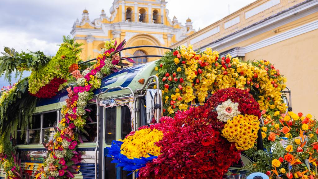 Festival de las Flores recibió a más de 300 mil visitantes | Municipalidad de Antigua Guatemala