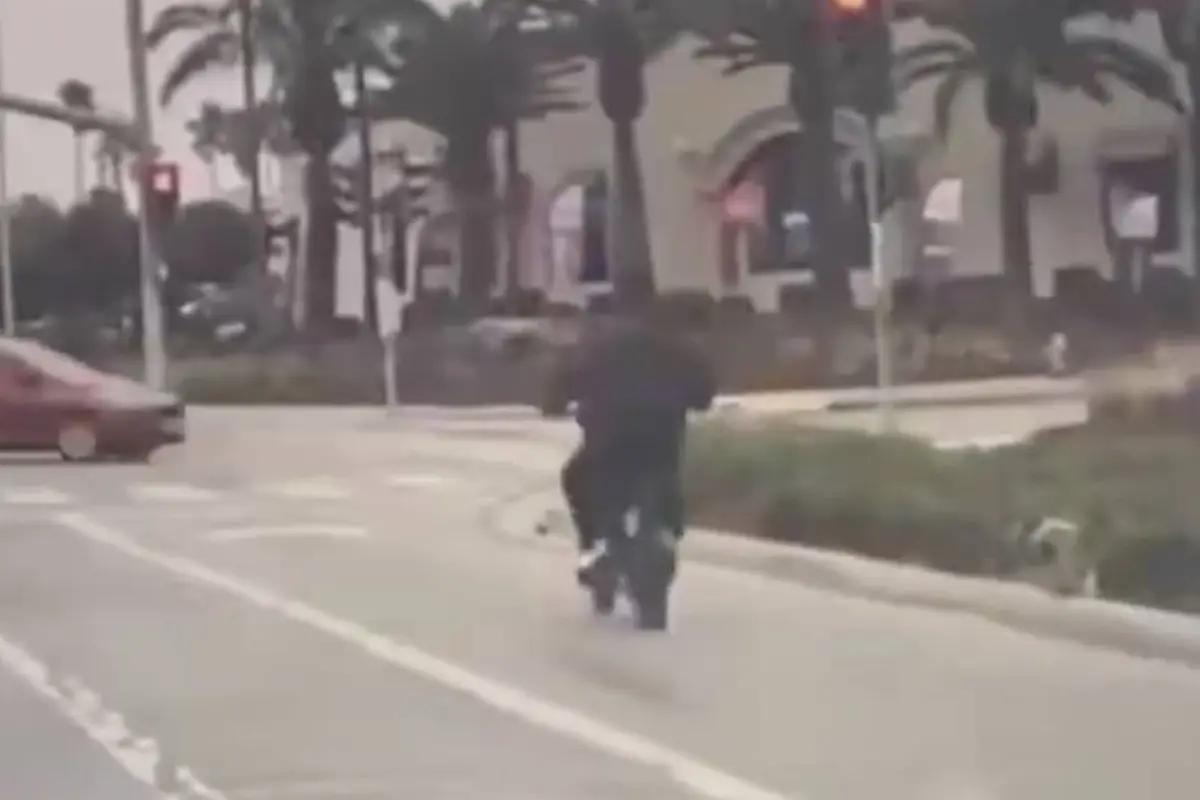 Las impactantes imágenes se difundieron rápidamente en redes sociales., Captura de pantalla video X.