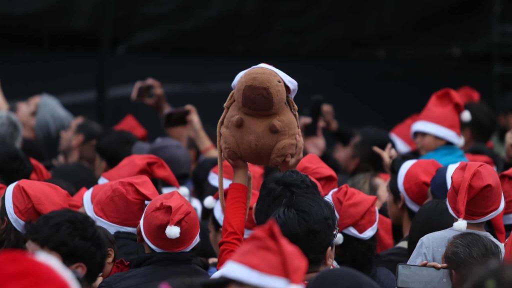 Inauguración del Árbol Gallo enciende la época navideña 2025 | Álex Meoño