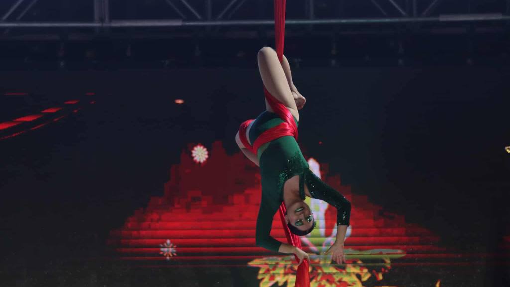 Inauguración del Árbol Gallo enciende la época navideña 2025 | Álex Meoño