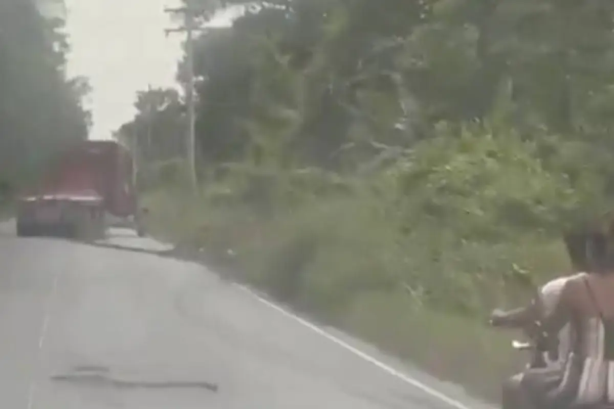 Tráiler impacta contra poste tras descompensación del conductor., Captura de pantalla video X.