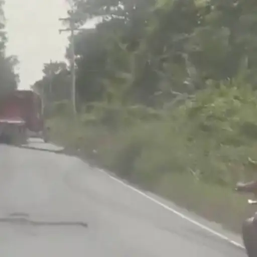 Tráiler impacta contra poste tras descompensación del conductor. ,Captura de pantalla video X.