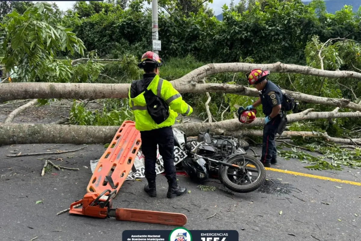 El árbol se desplomó sobre dos personas que viajaban en una motocicleta en el Km. 82 de la RN-14., Bomberos Municipales Departamentales