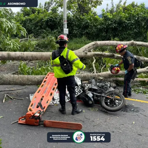 El árbol se desplomó sobre dos personas que viajaban en una motocicleta en el Km. 82 de la RN-14. ,Bomberos Municipales Departamentales