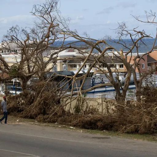 Jamaica eleva a 45 la cifra de muertos por el huracán Melissa ,EFE