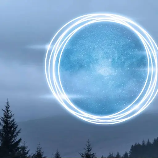 Portal 11/11 ,Portal 11/11