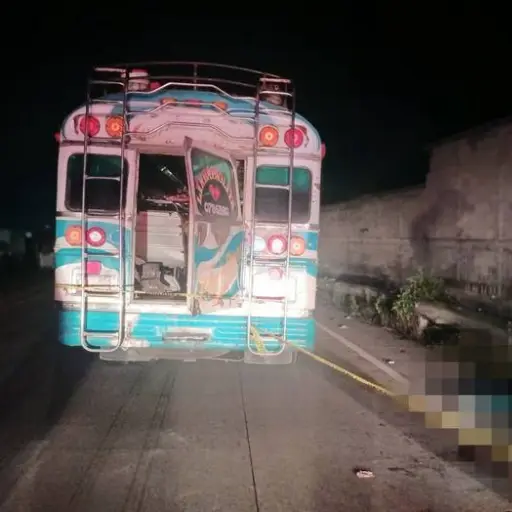 Dos heridos y un muerto tras asalto a bus extraurbano en ruta Interamericana 
