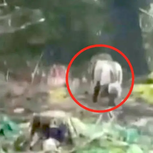 El falso león que puso en alerta a todo un pueblo. ,Captura de pantalla video X.