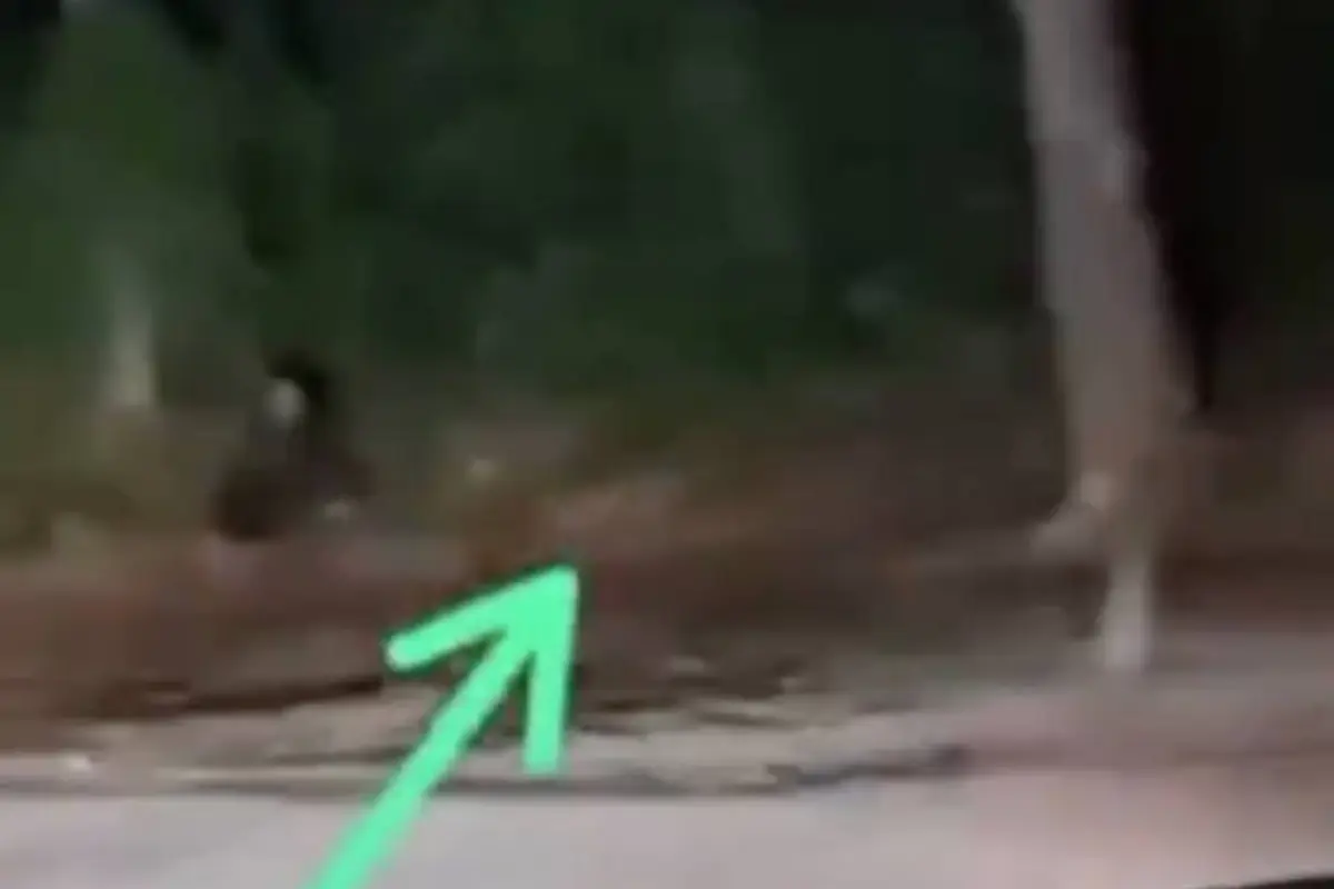 Figura de un niño sorprende a un automovilista., Captura de pantalla video X.