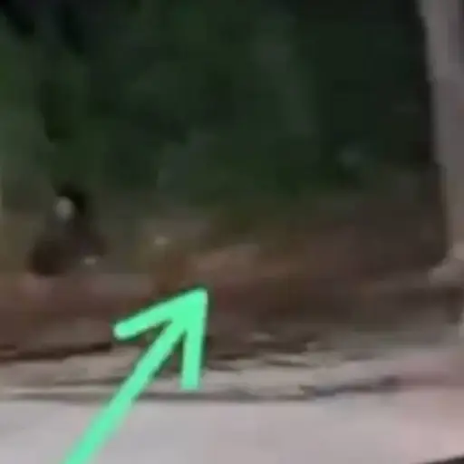 Figura de un niño sorprende a un automovilista. ,Captura de pantalla video X.