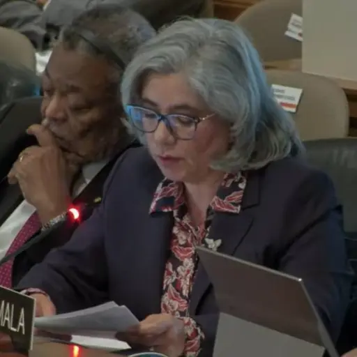 Claudia Escobar, representante permanente de Guatemala ante la OEA, expone el proyecto de declaración en apoyo a la democracia. ,OEA
