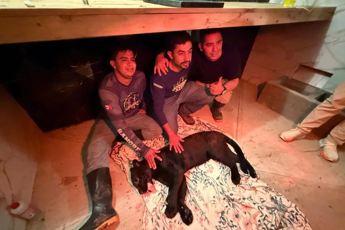 Tres expertos fueron los encargados de ubicar y recuperar el ejemplar, con apoyo de otras personas y herramientas., Redes sociales.