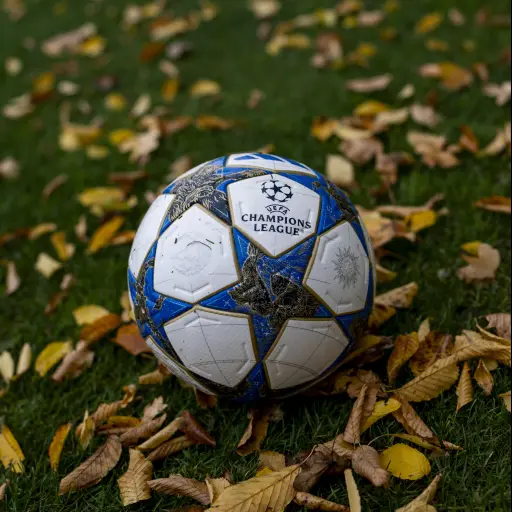 Balón oficial de la UEFA Champions League - Champions League